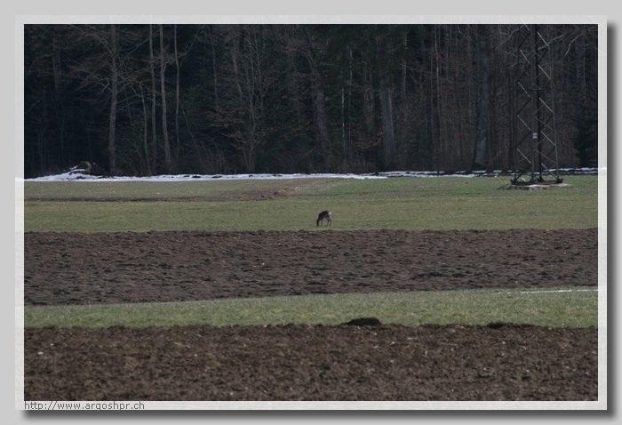 IMG_1864.JPG