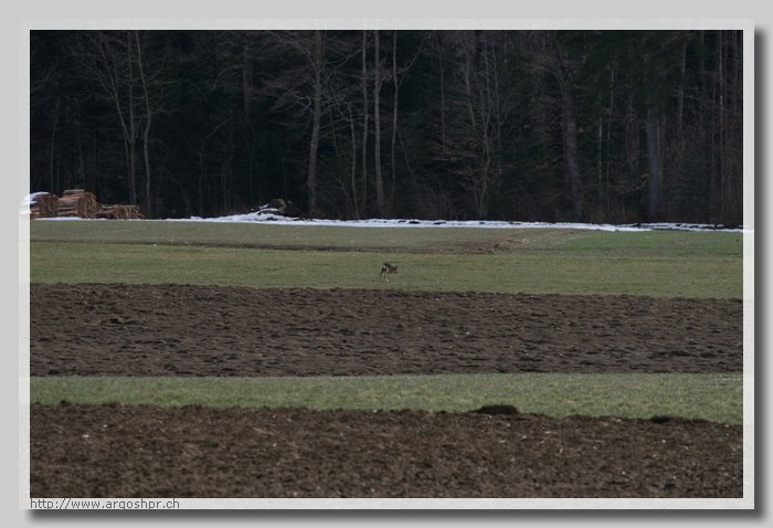 IMG_1865.JPG