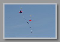 IMG_1510.JPG (20.4 KB)