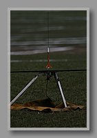 IMG_1660.JPG (42.6 KB)