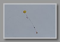 IMG_1802.JPG (18.8 KB)