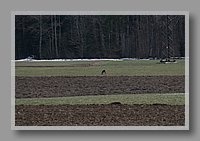 IMG_1864.JPG (67.4 KB)