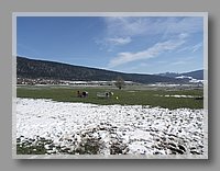 PICT0166.JPG (80.8 KB)