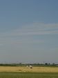 DSC00665.JPG