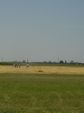 DSC00675.JPG