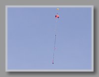 P6173355.JPG (28.4 KB)
