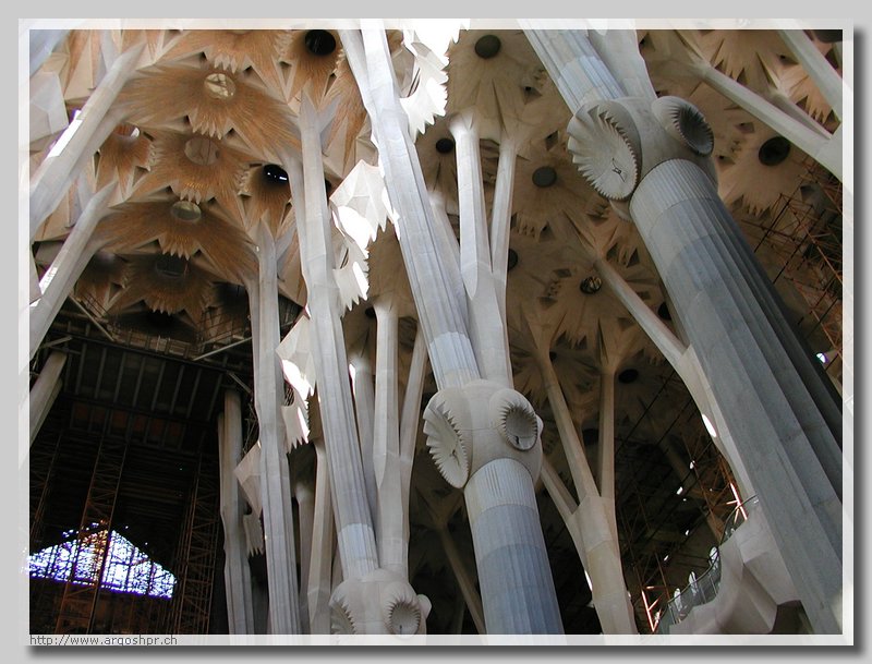 PA063591.JPG