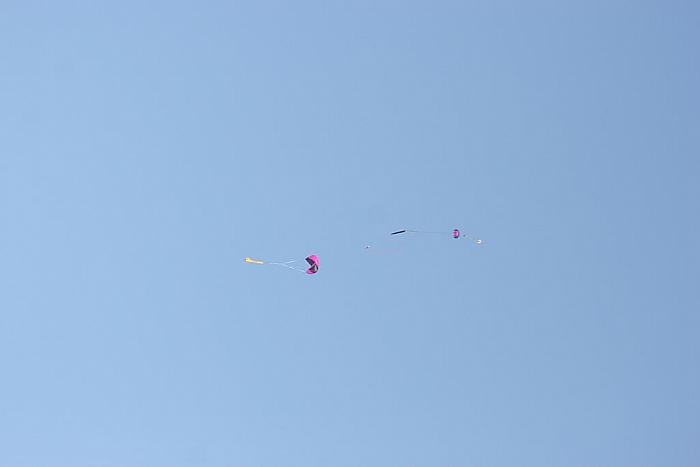 IMG 3955
