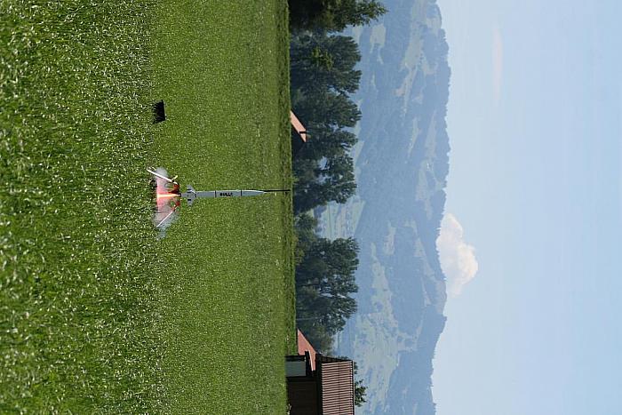 IMG 2940