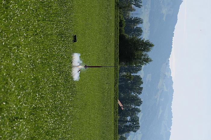 IMG 3174