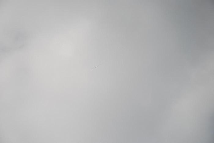 DSC 0074