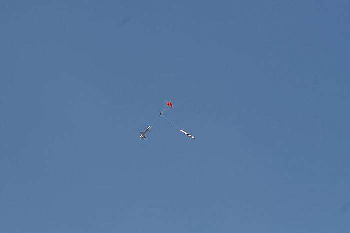 IMG 5574
