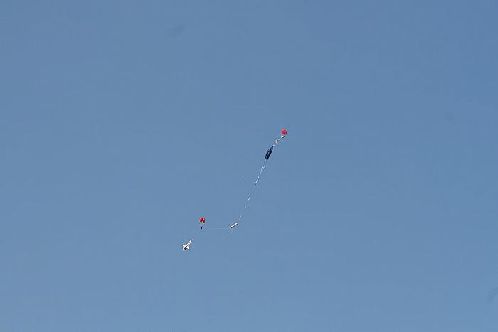 IMG 5579