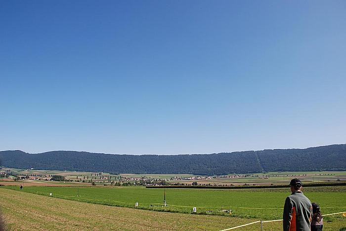 DSC 0015