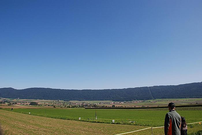 DSC 0017