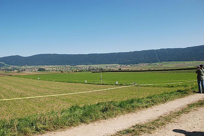 DSC 0041