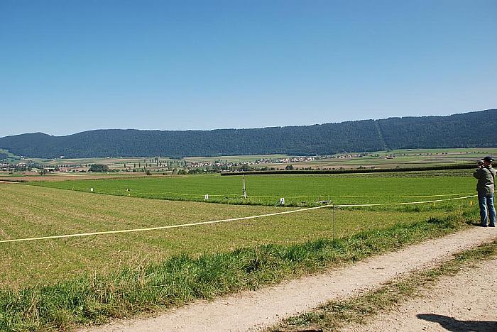 DSC 0042