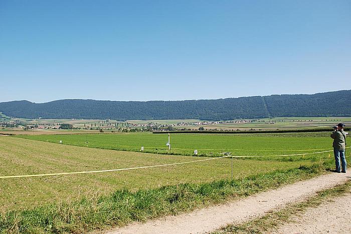 DSC 0048