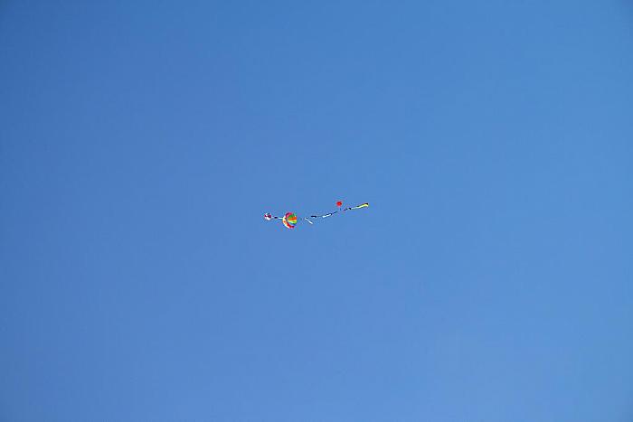 IMG 7690