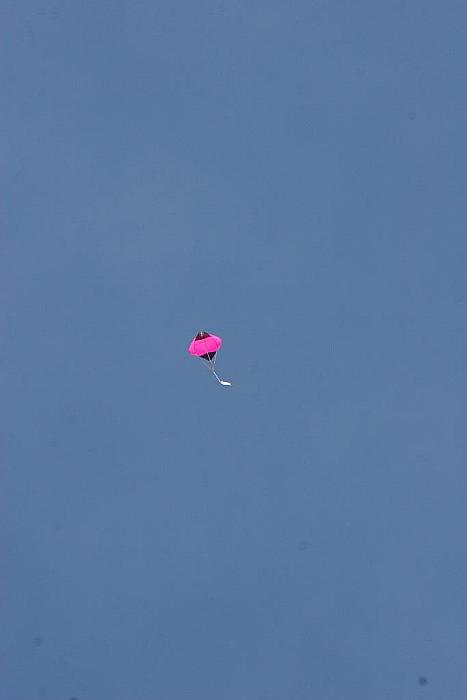 IMG 4579