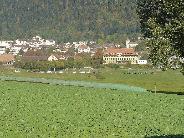 DSC00220