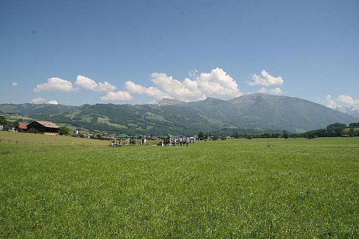 IMG 6346