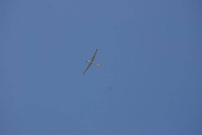 DSC 4423