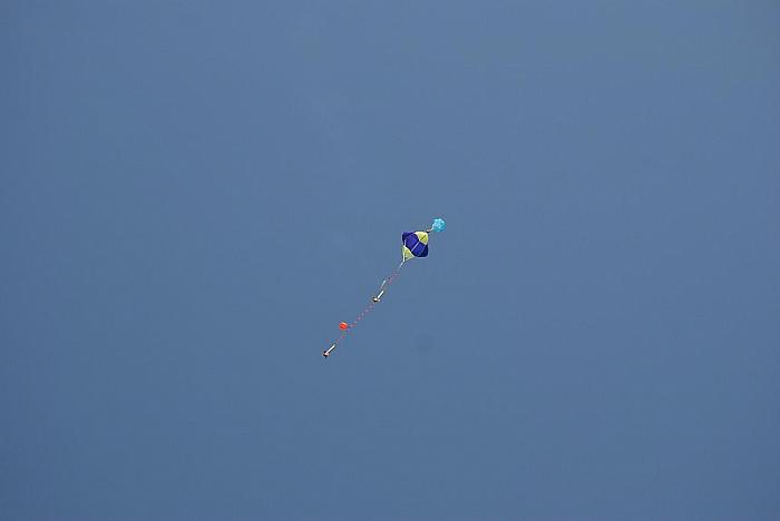 DSC 4462