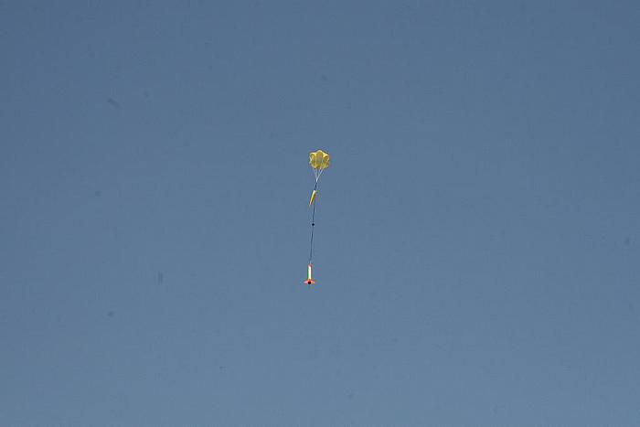 IMG 9008