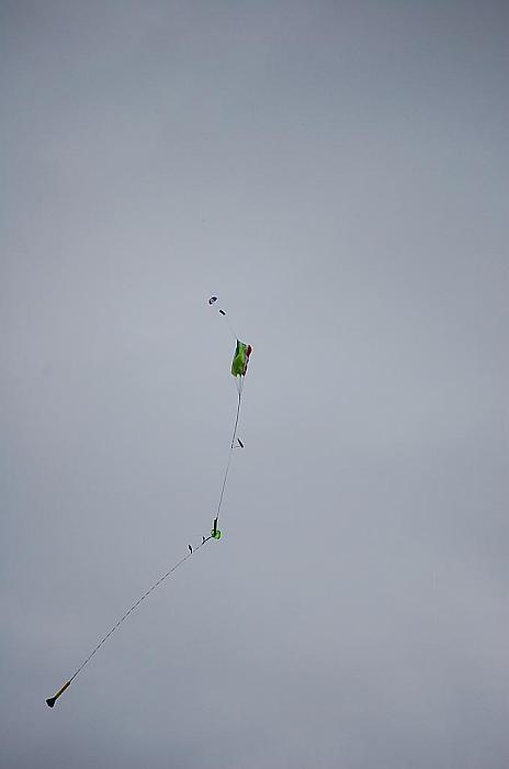 DSC 0329