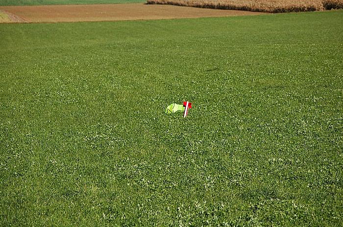 DSC 0501