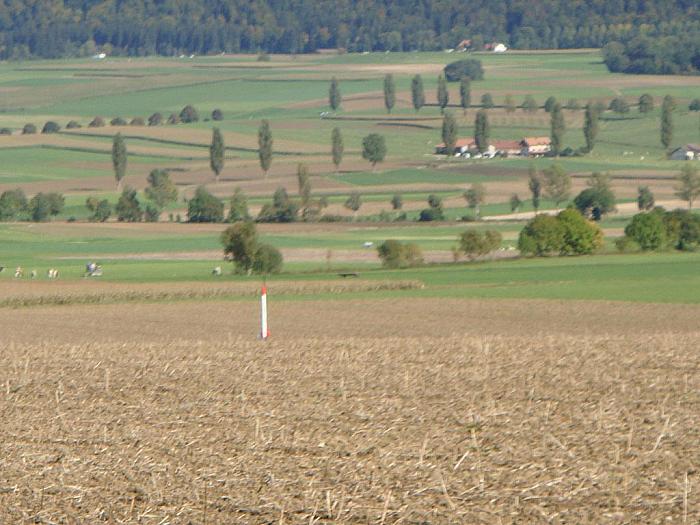 DSC00979