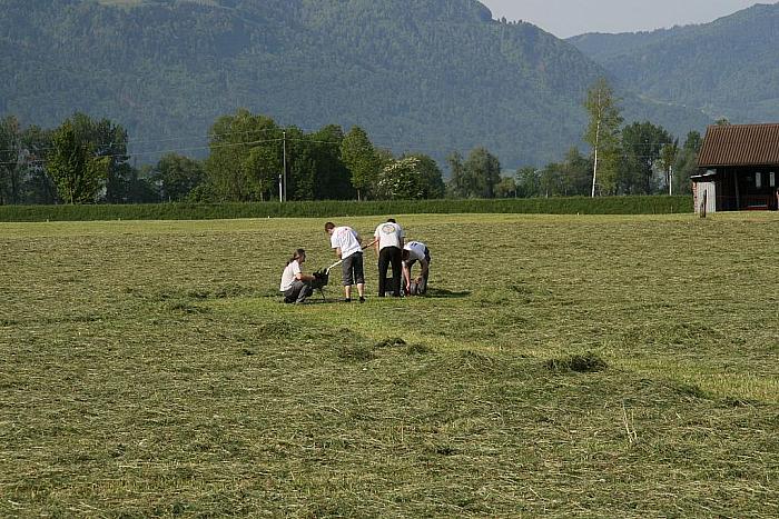 IMG 19793