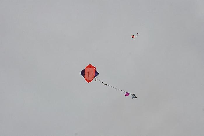 IMG 7866