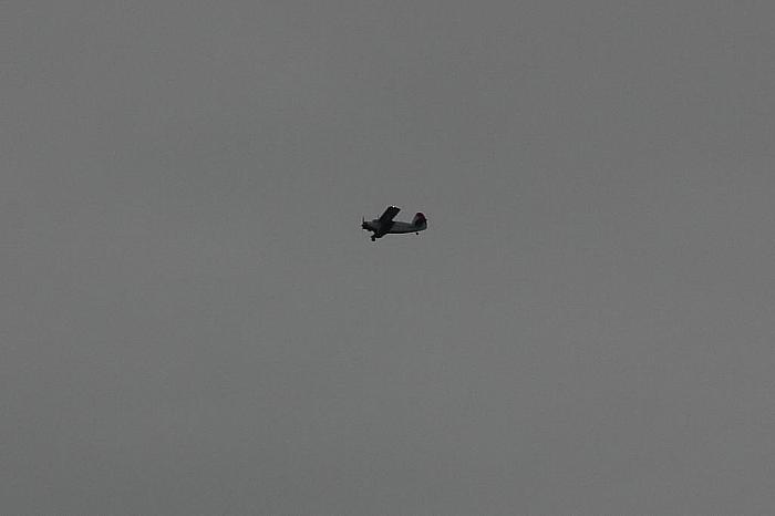  MG 5329