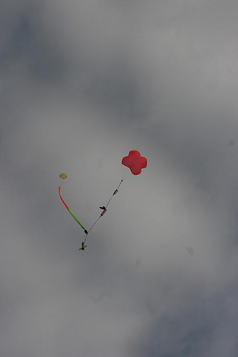 IMG 6978