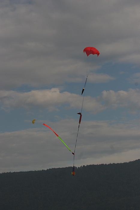 IMG 6979