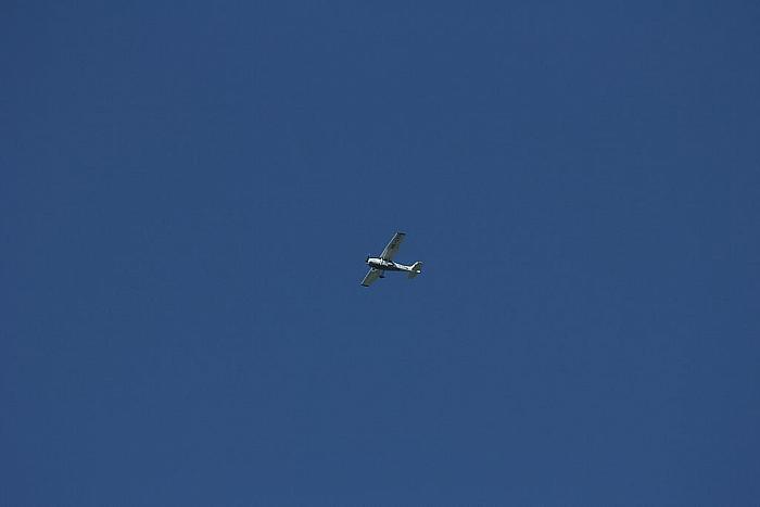 IMG 6270
