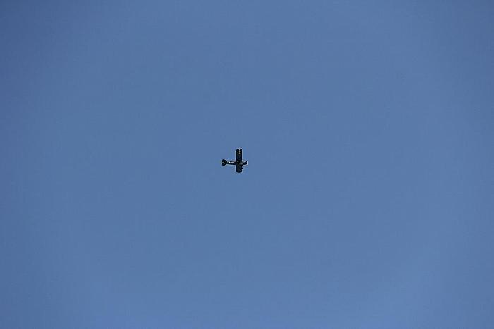 IMG 6490