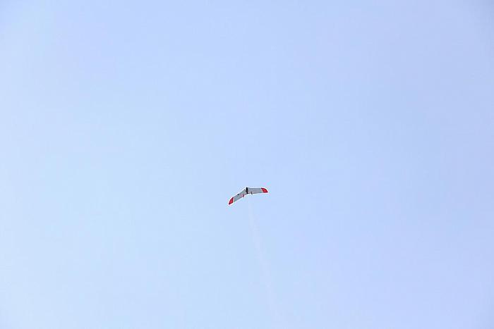 IMG 6539