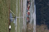 IMG 1401