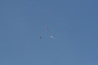 IMG 5574