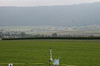 IMG 6461