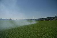 IMG 6475