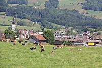 IMG 0755