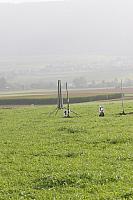 IMG 6421