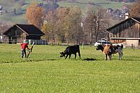 IMG 7097