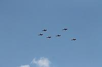 IMG 9972