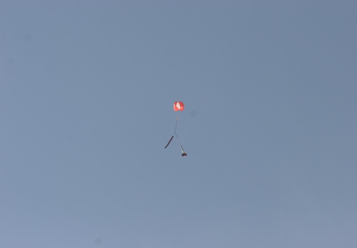 IMG 3274