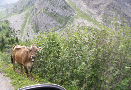Planetenwegeröffnung 30. Juni 2007 (62)
